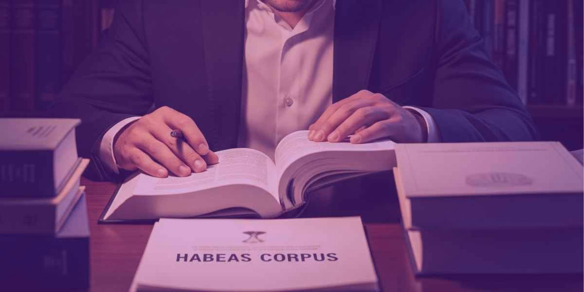 Habeas Corpus: Quais são os tipos e Cabimento? [Guia Prático]